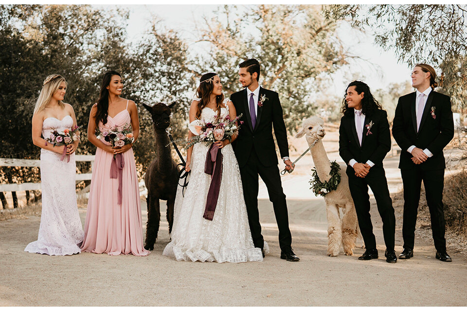 Neutral Chic Wedding at The Casino San Clemente